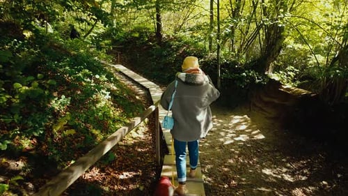 Unrecognizable Woman with a Dog Walking on a Wooden Boardwalk Path in a Sunny Autumn Forest