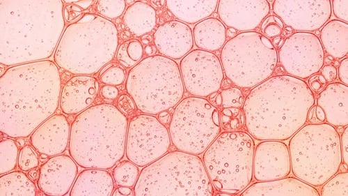 Transparent Cosmetic Gel Fluid with Molecule Bubbles Oil Distribution Bubble Cluster Cells Under a