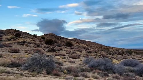 Desert landscape pan during morning with a full moon in the sky and desert foiliage