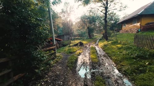 Rural Track on Muddy Road at Sunrise