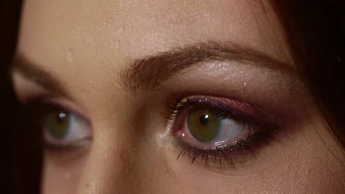 Closeup Eyeshadow Makeup Makeup Artist Applying Eyeshadow Make Up Beauty Girl Makeup Artist with