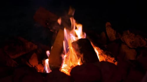 Cam Fire