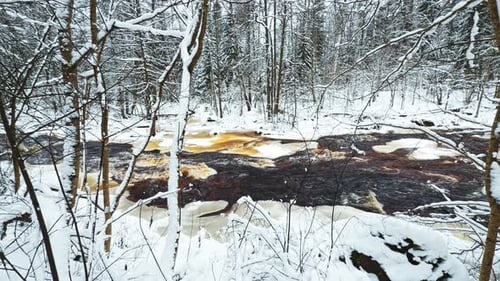 Lindulovskaya Grove an Ecological Trail a Calm Winding River in a Snowy Forest Trees Under the Snow