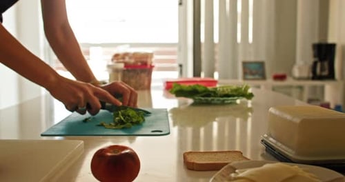 Woman Making a Fresh Sandwich at Home