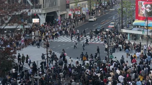 Multidões enérgicas atravessam a famosa travessia de shibuya em Tóquio, Japão, à noite