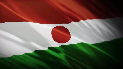 Realistic Waving National Flag of Niger