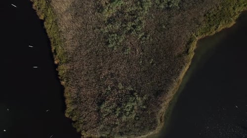 A top down view directly above salt marsh grass and water. Taken on a sunny day on Long Island, NY,
