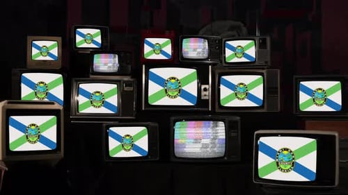 Vintage TVs Display Seminole County Florida Flag