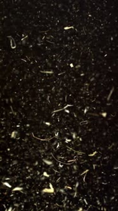 Hay Flies and Falls on a Black Background Filmed on a Highspeed Camera at 1000 Fps
