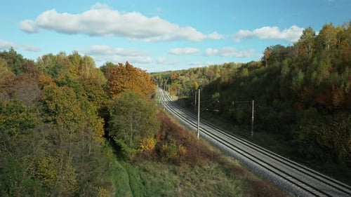AERIAL: Beautiful trees with yellow leaves in autumn forest near rail road