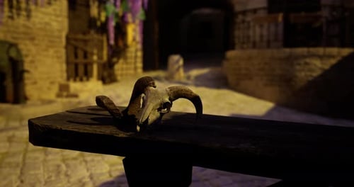 Birds Perch on a Wooden Bench in a Sunny Cobblestone Alleyway