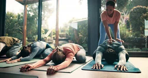 Yoga, instructor and class with stretching in studio for flexibility, holistic wellness