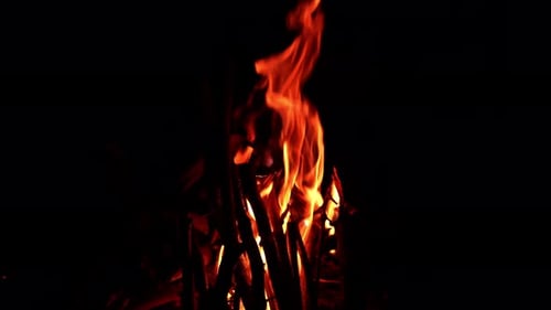 Flame fire on dark background. Flame orange glowing at campfire.