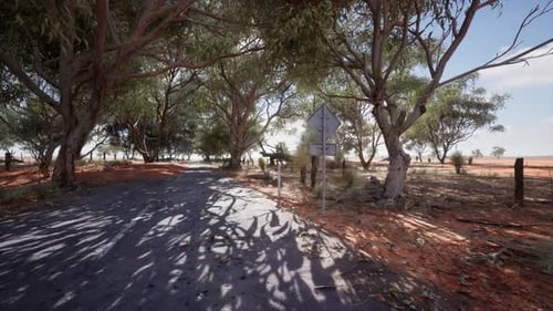 A Scenic Road Winding Through a Lush Forest
