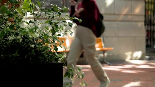 Pedestrians entering walking past planter on brick path, passing orange bench en route, copy space