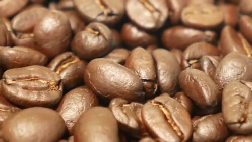 Close Up Footage of Medium Roasted Coffee Beans