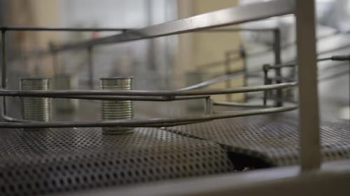 Line production of canned fish factory.