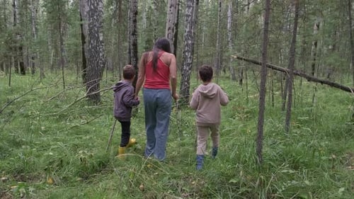 Mother and Two Children Enjoying a Walk Through a Birch Forest