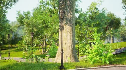 Sunlight Filters Through Trees in a Serene Park with Greenery and Lampposts