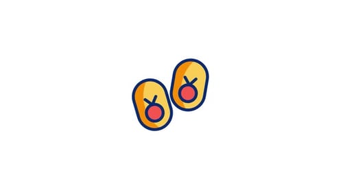 Animated Slippers Flat Design Icon