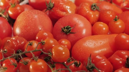 Colorful Organic Tomatoes Mix Tomatoes Background Several Varieties of Sliced Tomatoes Top View