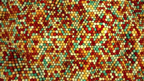 3d Ball Wave Animation. Abstract Animation Of 3d Ball Wall Wave Moving. Colorful Loop Animation Of