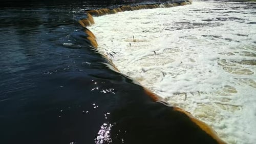 Festival de la nature avec le saut à saumon de Kuldiga