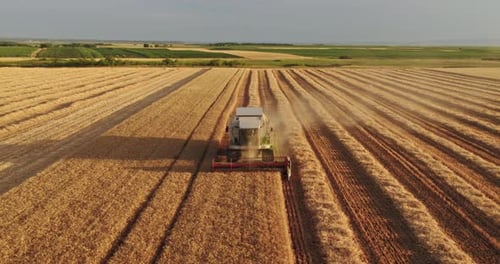 Aerial shot of a combine harvester in action on wheat field.