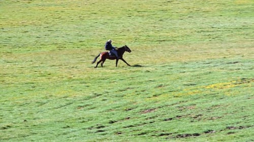 A breathtaking slow-motion shot of a person riding a horse through a lush green field, capturing the
