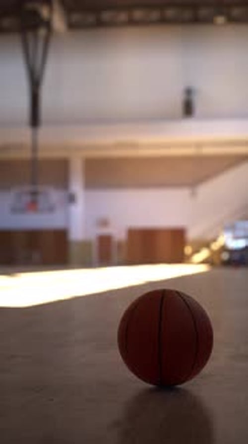 Basketball Resting on Gym Floor