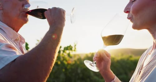 Couple Toasting with Wine in Beautiful Vineyard