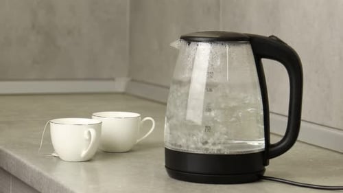 Electric Kettle Boiling Water for Tea on Countertop