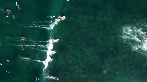 Surfers in Bali - Indonesia.