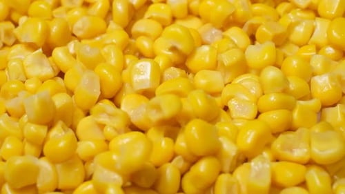 Bright Yellow Corn Kernels Pouring Close Up