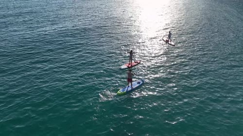 Aerial View Paddleboard Festival in the Open Sea with a Group Celebrating Summer