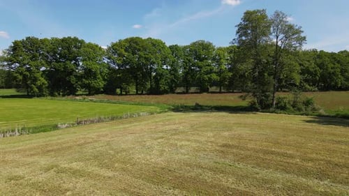Aerial View of Green Fields and Trees