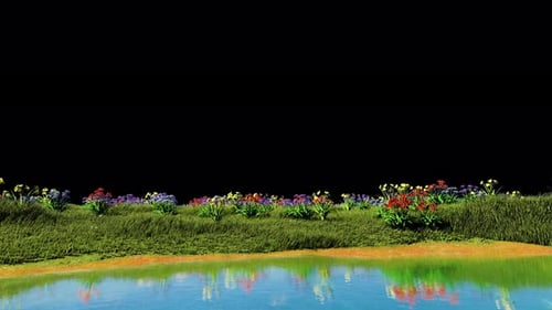 Colorful Flowers Reflecting in Water with Transparent Background
