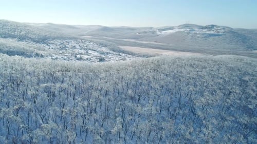 Aerial View of a Frozen Forest with Snow Covered Trees at Winter Flight Above Winter Forest Aerial