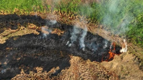 An aerial view shows stubble burning in farmlands.