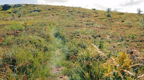 A Walk Along a Mountain Path a Firstperson View