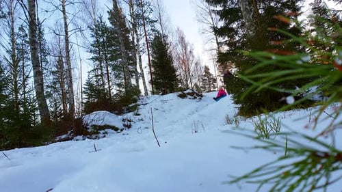 SLOW MOTION dad and daughter riding snow sled in winter forest