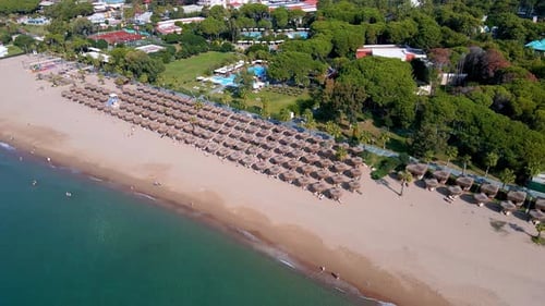 Aerial View of Umbrellas Palms on the Sandy Beach People Blue Sea with Waves at Sunset