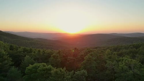 Aerial View of Forest Landscape During Sunset