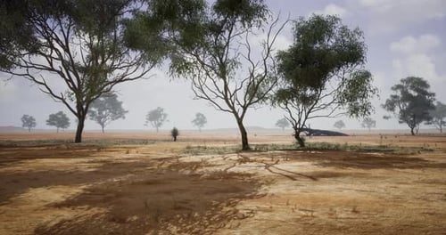Vast Dry Landscape with Sparse Trees Under a Cloudy Sky in a Remote Area