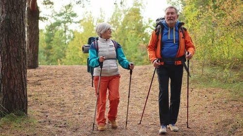 Hiking Tourism Adventure Senior Couple Man Woman Enjoying Outdoor Recreation Hiking in Forest Happy