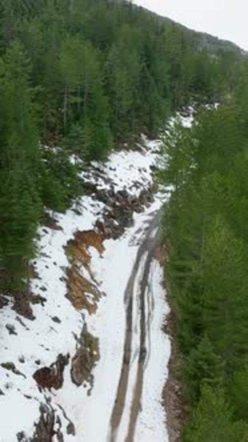 Vertical Video Forest Wonderland Aerial Cinematics of Winter Mountain Landscape with River and