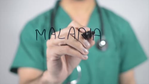 Doctor Writes Malaria Diagnosis on Clear Surface