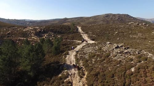 Horseback Riders Exploring Rugged Landscape on Mountain Trail