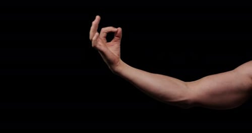 Hand gestures with alpha channel. Pre keyed. Athletic male hand showing sign of approval