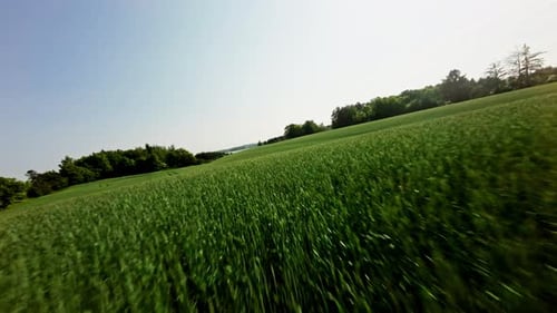 Drone Flight Over Farm Crops